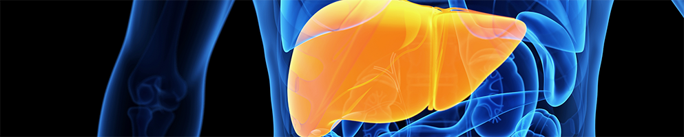 Yale Liver Update 2025 Banner